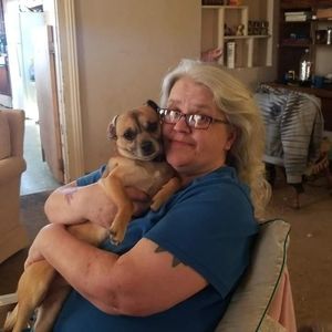 Meet your Posher, Eva